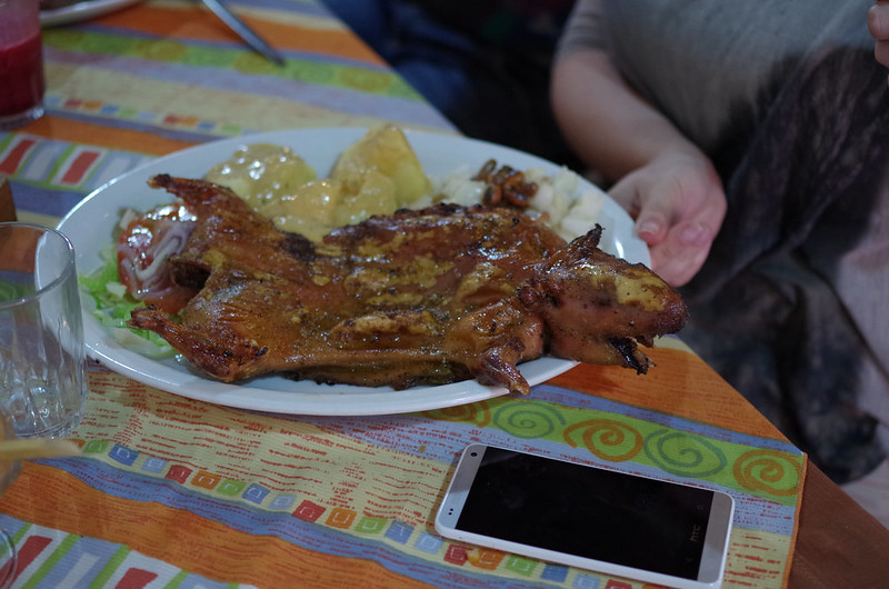 Guinea Pig (Ecuador)