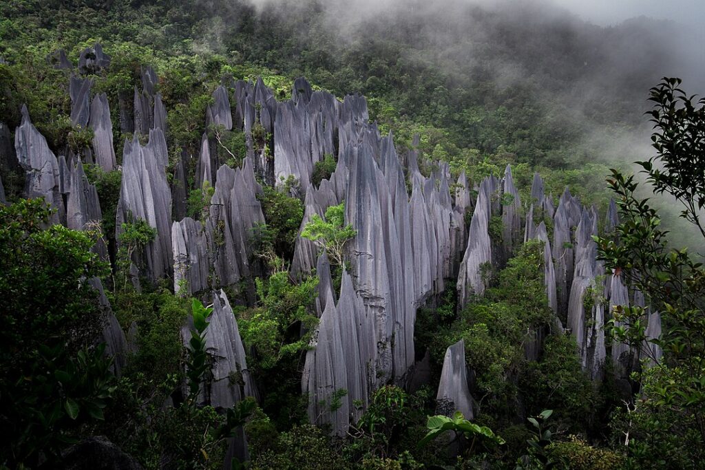 Gunung Mulu National Park, Malaysia