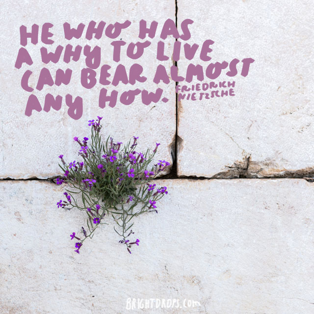 "He who has a why to live can bear almost any how." – Friedrich Nietzsche