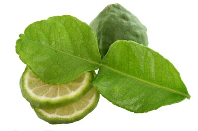 Kaffir Lime Leaves