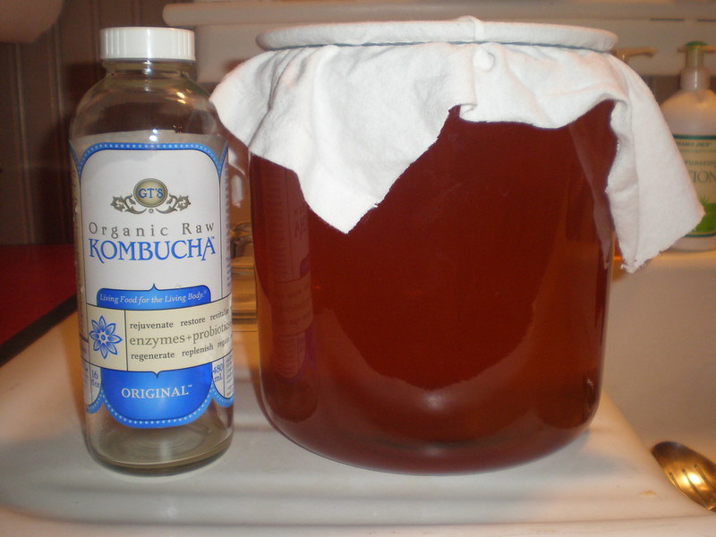 Kombucha