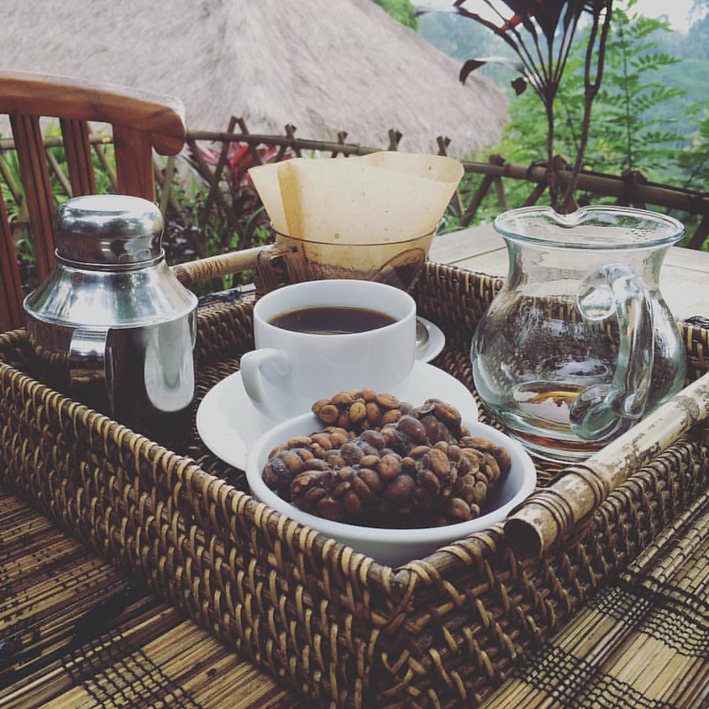 Kopi Luwak (Drip Brew)