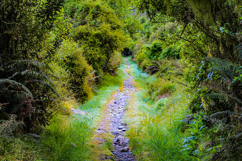 Milford Track, New Zealand