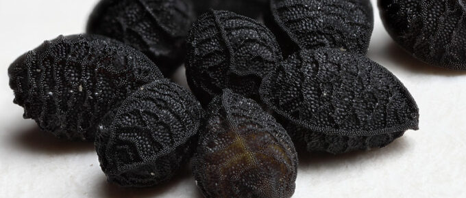 Nigella Seeds