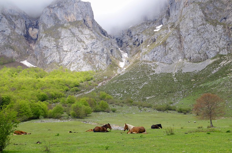 Picos de Europa, Spain