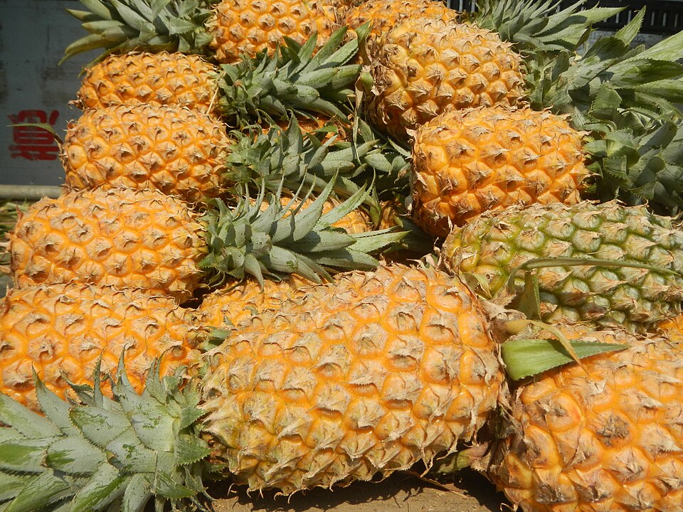 Pineapples Take Two Years to Grow