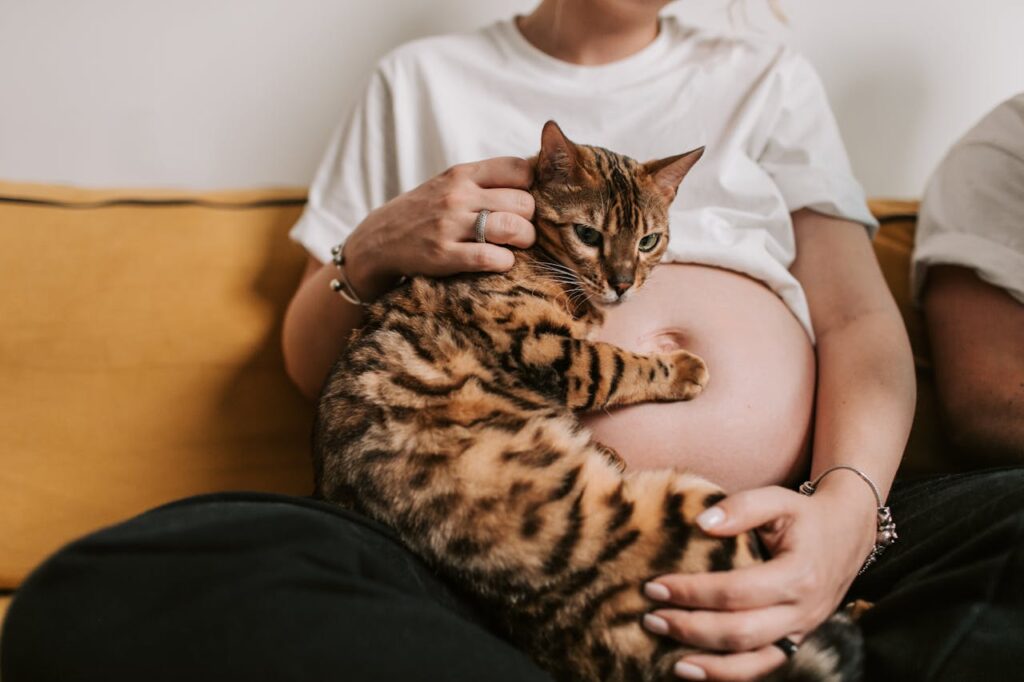 Myth: Pregnant Women Should Avoid Cats