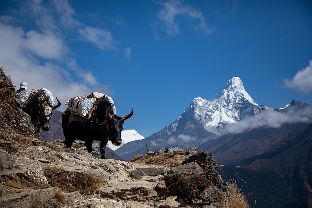 Sagarmatha National Park, Nepal