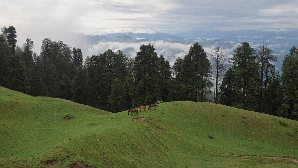 Uttarakhand, India