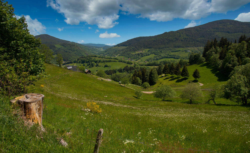 Vosges Mountains, France