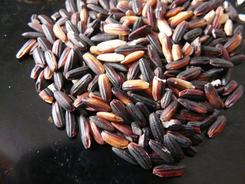 Wild Rice