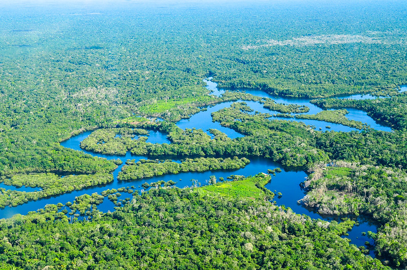 Amazon Rainforest, South America