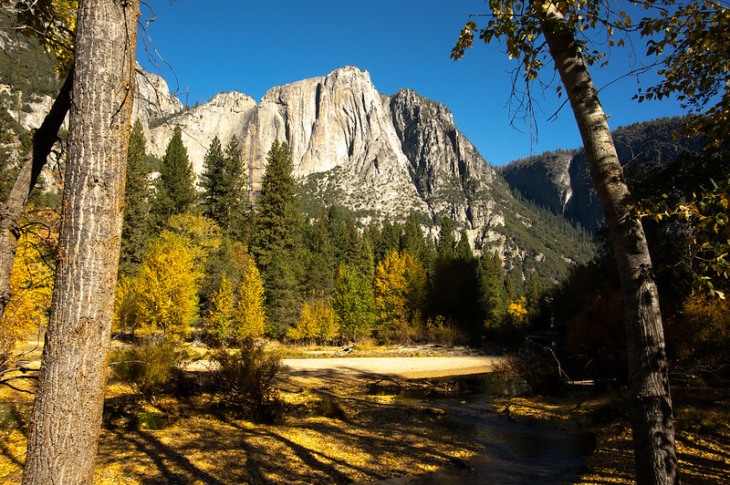 AutoCamp, Yosemite National Park, California