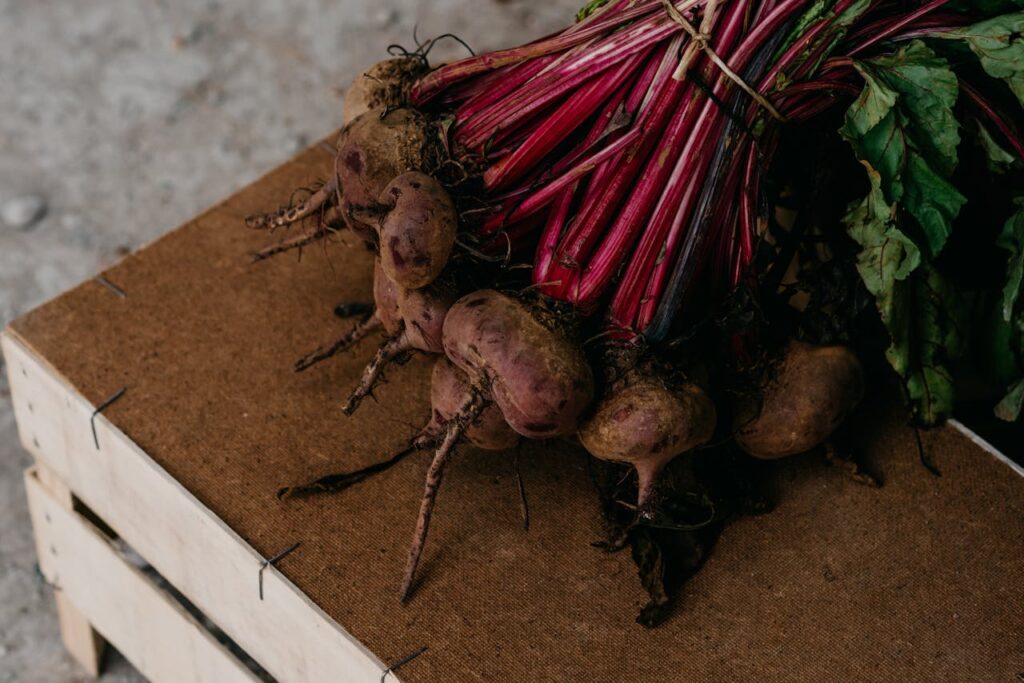 Beets: Enhances Exercise Performance