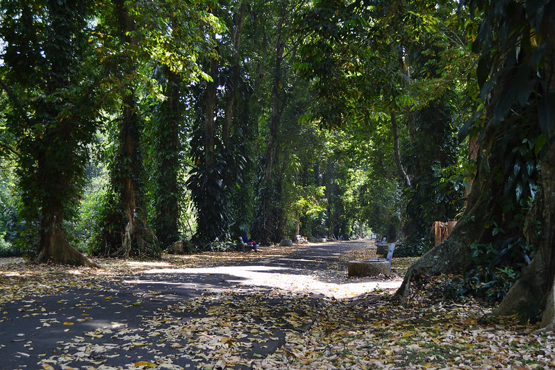 Bogor Botanical Gardens, Indonesia