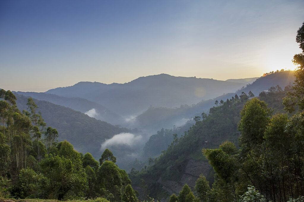 Bwindi Impenetrable National Park, Uganda