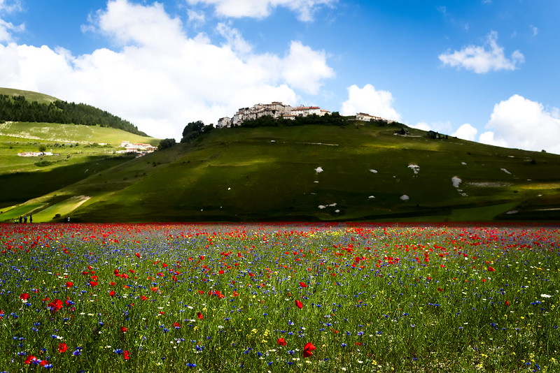 Castelluccio di Norcia