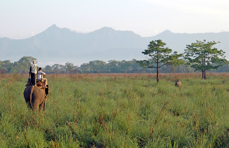 Chitwan National Park, Nepal