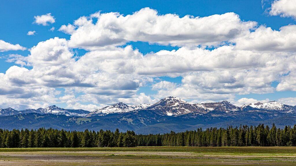 Collective Yellowstone, Montana