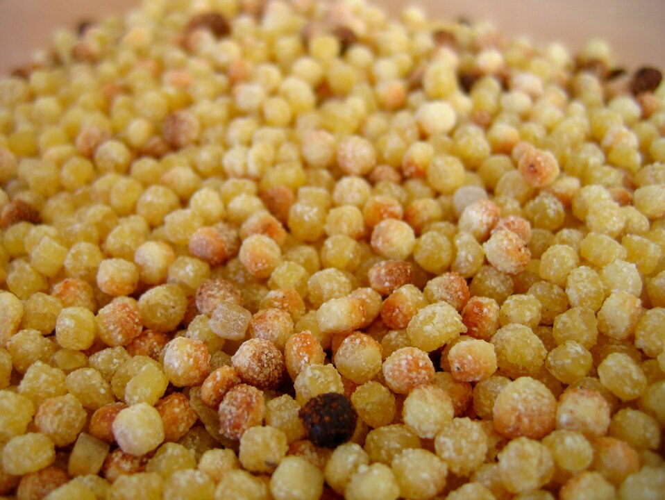 Fregola (Sardinia)