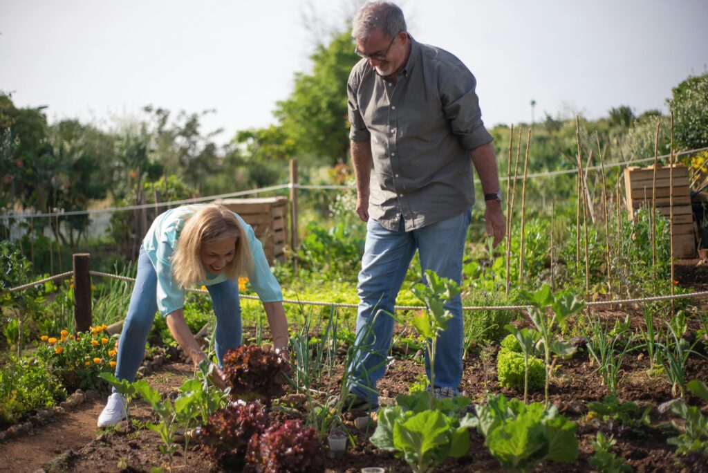 Gardening