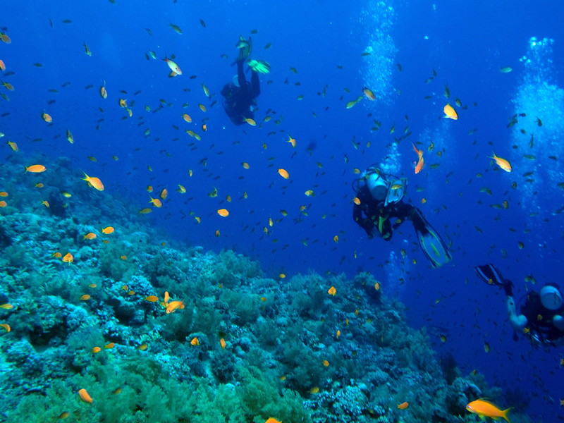 Great Barrier Reef Marine Park, Australia