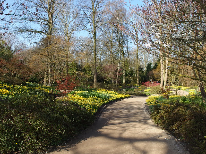 Keukenhof Gardens, Japan