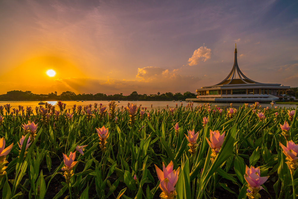 King Rama IX Park, Thailand