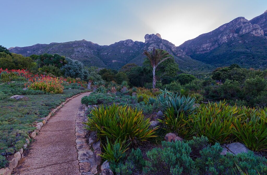 Kirstenbosch National Botanical Garden, South Africa