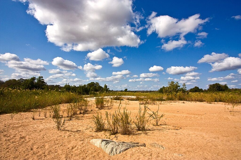 Kruger National Park, South Africa