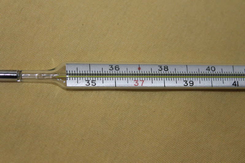 Mercury Thermometers