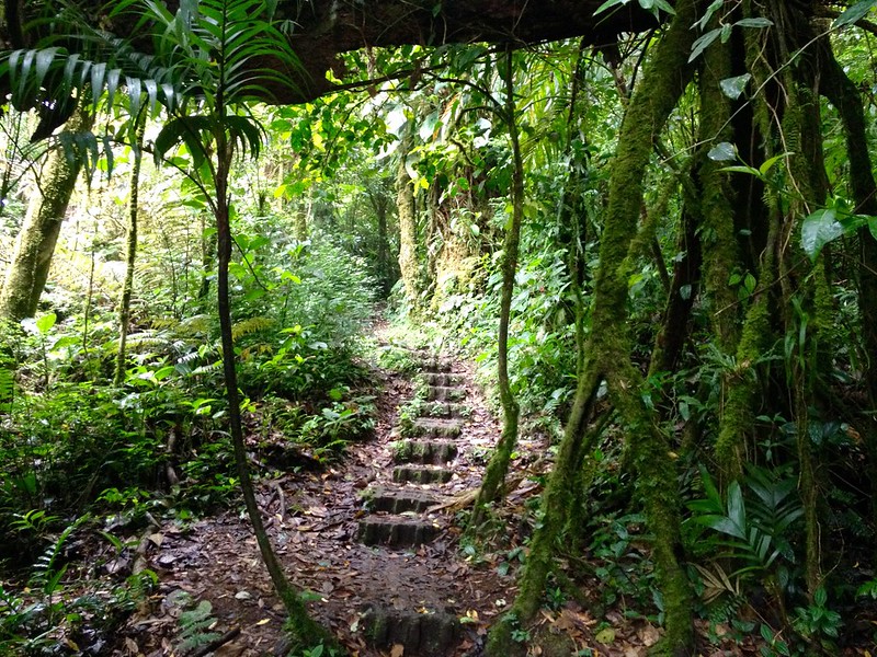 Monteverde Cloud Forest, Costa Rica