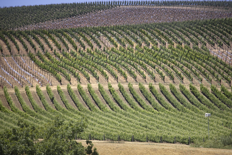 Napa Valley, California