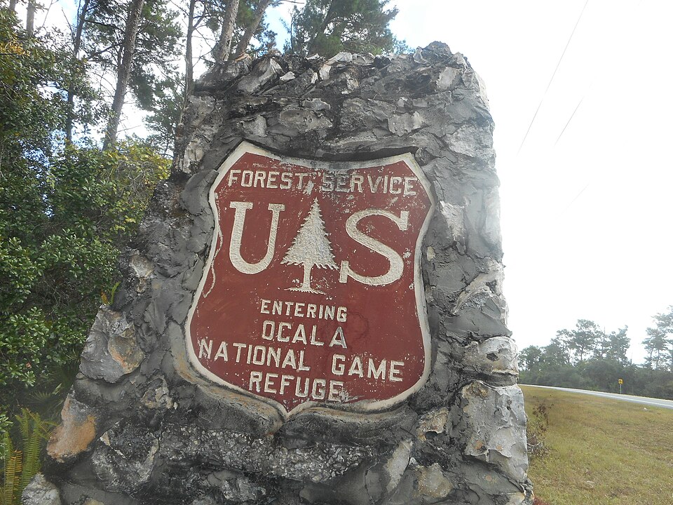 Ocala National Forest, Florida