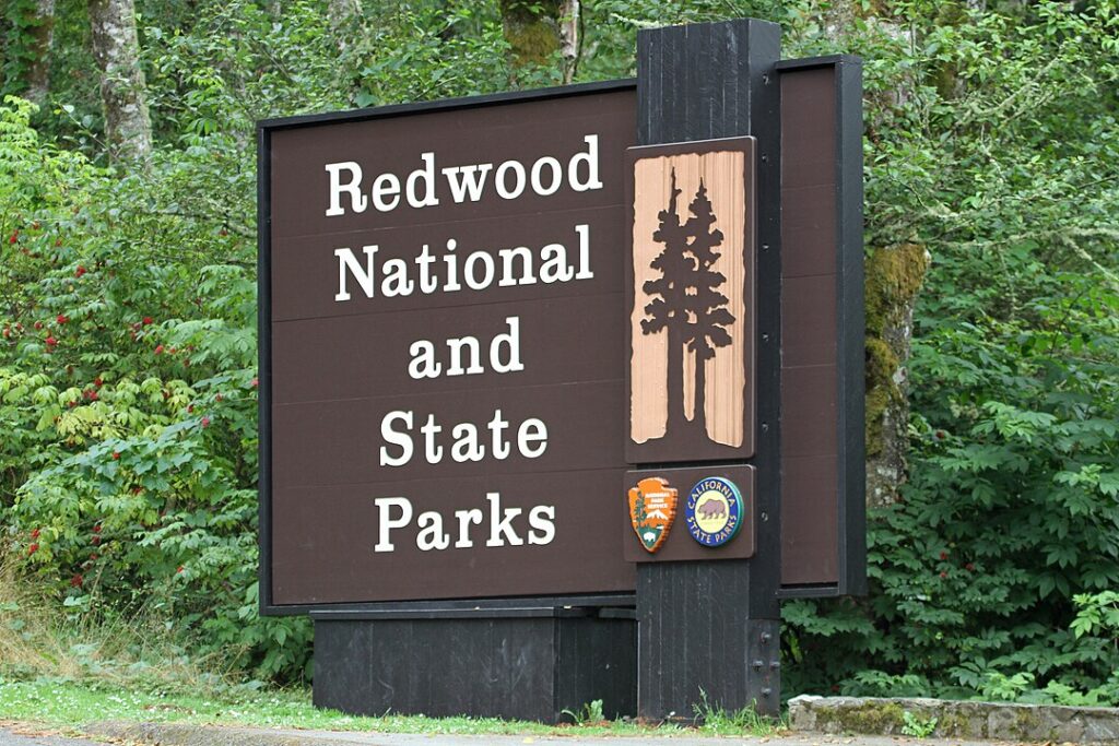 Redwood National and State Parks, USA