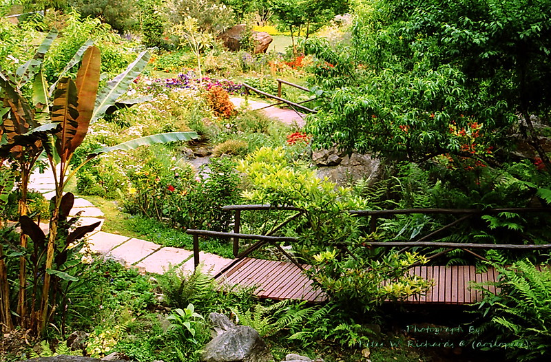 Royal Botanic Garden, Thailand