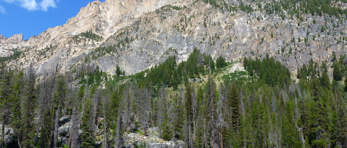 Sawtooth National Forest, Idaho