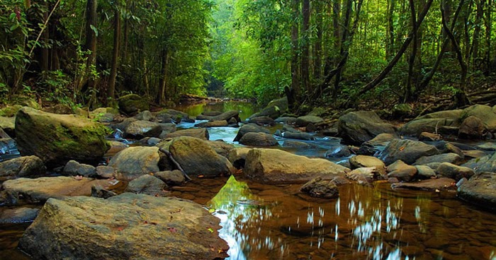 Sinharaja Forest Reserve, Sri Lanka