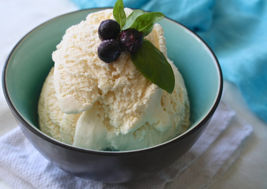 Soursop Ice Cream (Caribbean)