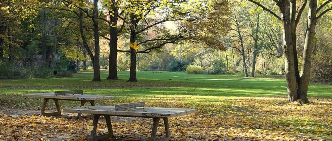 Tiergarten – Berlin, Germany