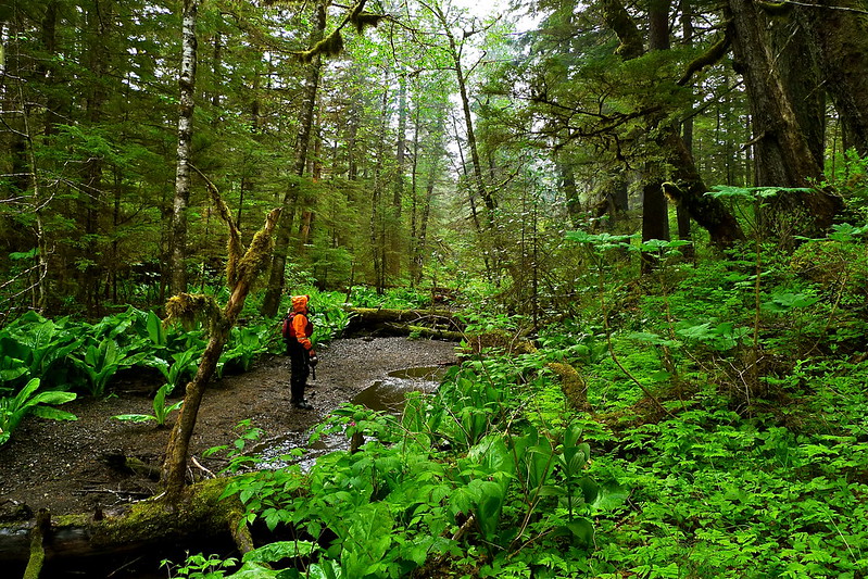 Tongass National Forest, USA