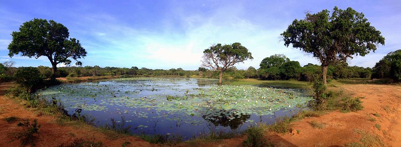 Yala National Park, Sri Lanka