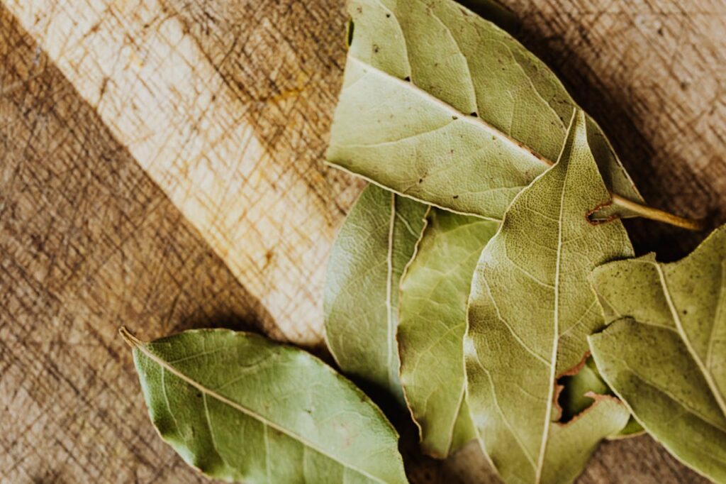 Bay Leaves: Anti-Inflammatory Effects