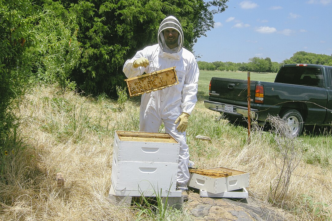 Beekeeping