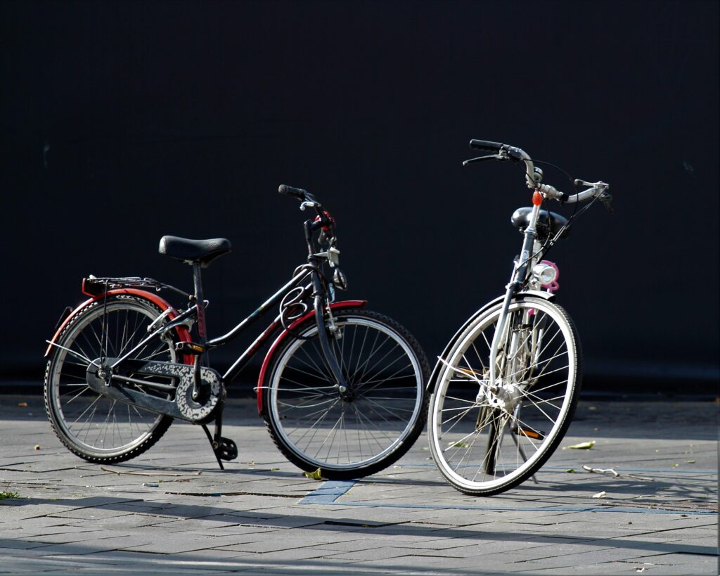 Bicycle or Public Transportation Pass