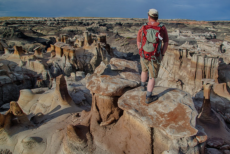 Bisti/De-Na-Zin Wilderness, New Mexico