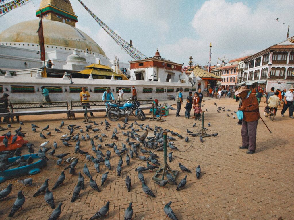 Feeding Pigeons in Venice