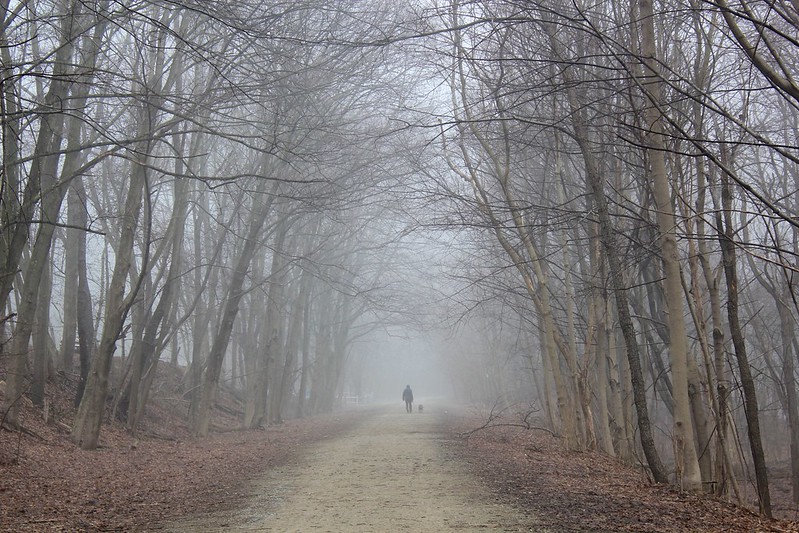 Great Allegheny Passage, USA