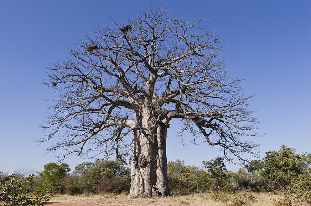 Iona National Park, Angola