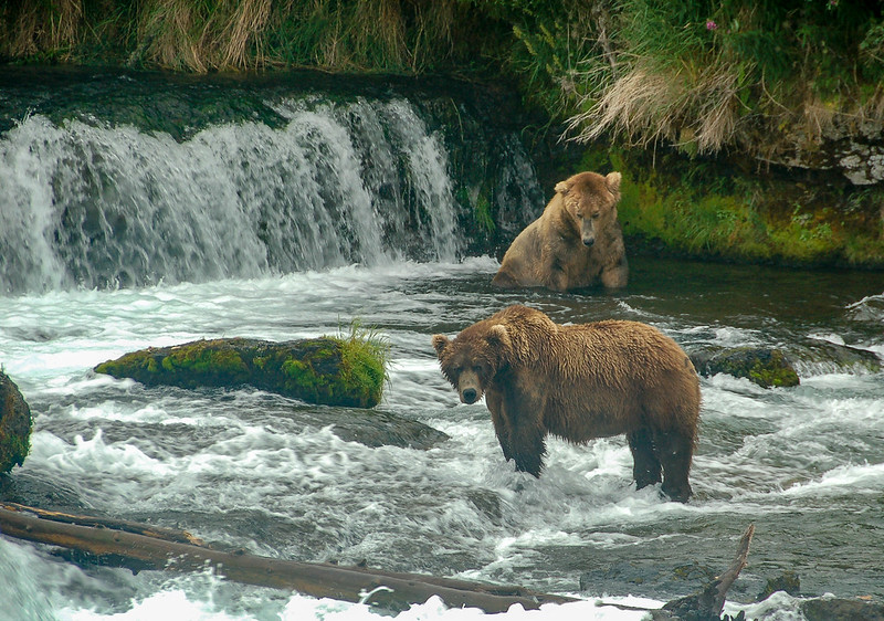 Katmai National Park, Alaska